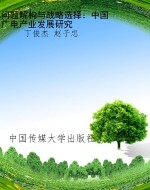 问题解构与战略选择：中