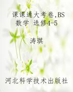课课通大考卷，BS数学 