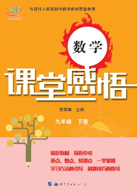 数学课堂感悟 九年级（