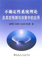 不确定性系统理论及其