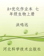 A+优化作业本 七年级