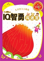IQ智勇闯迷宫