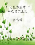 A+优化作业本 二年级