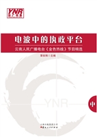电波中的执政平台（中册