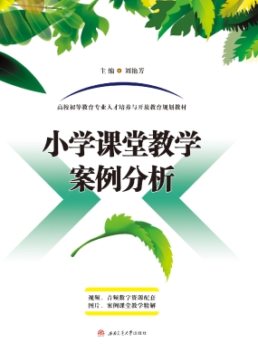 小学课堂教学案例分析