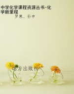 中学化学课程资源丛书