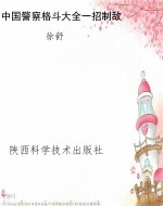 中国警察格斗大全一招