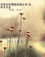 中学化学课程资源丛书