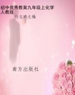 初中优秀教案——化学