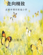 走向精致