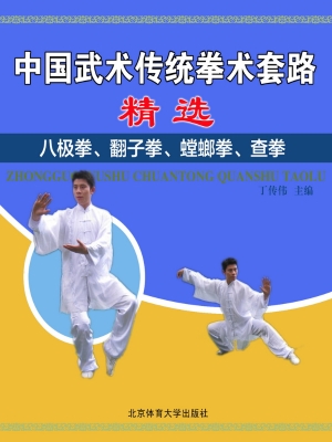 中国武术传统拳术套路