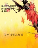 黑孩子：如何塑造完全自
