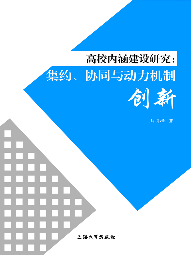 高校内涵建设研究：集约