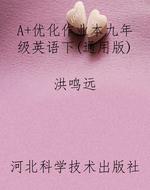 A+优化作业本九年级英