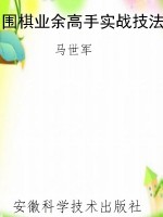 围棋业余高手实战技法