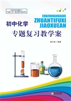 初中化学专题复习教学