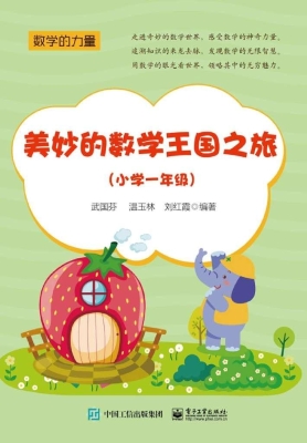 美妙的数学王国之旅（小