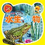 小笨熊带你看世界——