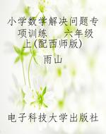 小学数学解决问题专项