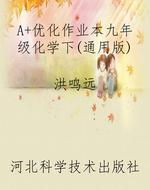 A+优化作业本九年级化