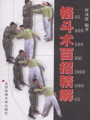 格斗术百招精解