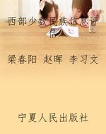 西部少数民族信息评估