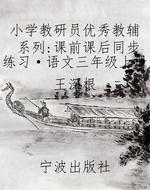 小学教研员优秀教辅系