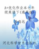 A+优化作业本七年级英