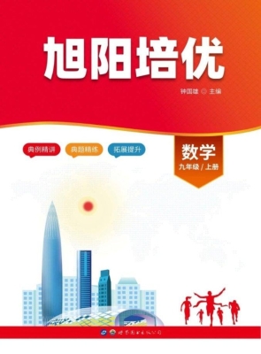 旭阳培优——数学 九