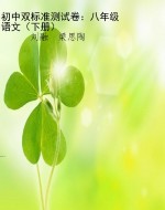 初中双标准测试卷：八年