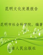 昆明文化发展报告