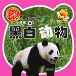 小笨熊带你看世界——