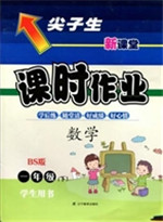 尖子生课时作业·BS版