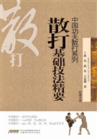 散打基础技法精要
