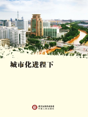 城市化进程下宁夏教育