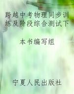跨越中考物理同步训练