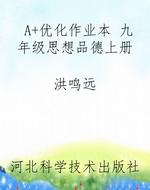 A+优化作业本 九年级