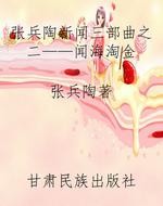 张兵陶新闻三部曲之二