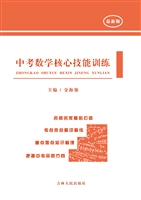 中考数学核心技能训练