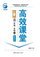 高效课堂·河北少儿版