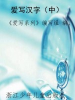 爱写汉字（中）