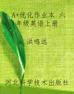 A+优化作业本 六年级