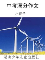 中考满分作文