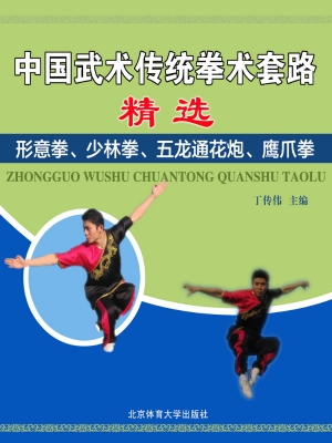 中国武术传统拳术套路