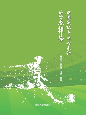 中国足球产业与文化发