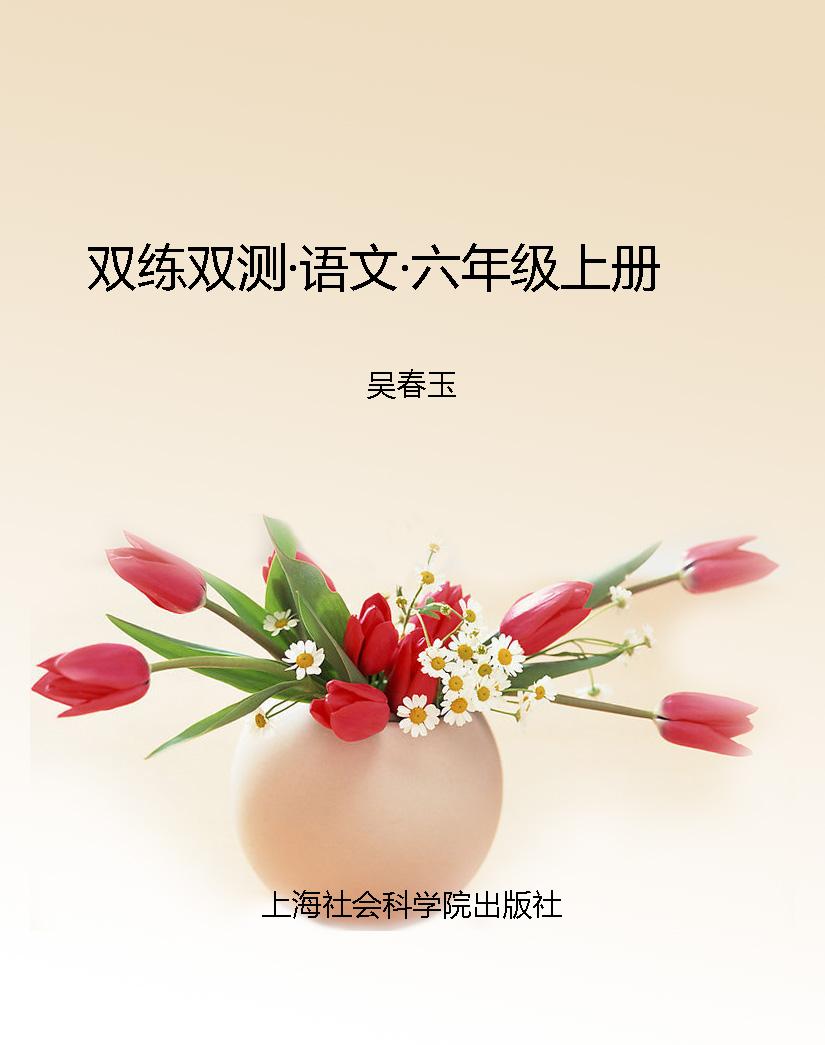 双练双测·语文·六年
