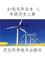 A+优化作业本 八年级