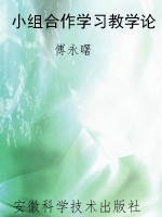 小组合作学习教学论