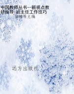 中国教师丛书--新视点