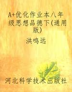A+优化作业本八年级思